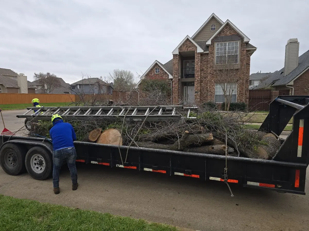 Expert Tree Removal with proper safety equipment in Green Springs